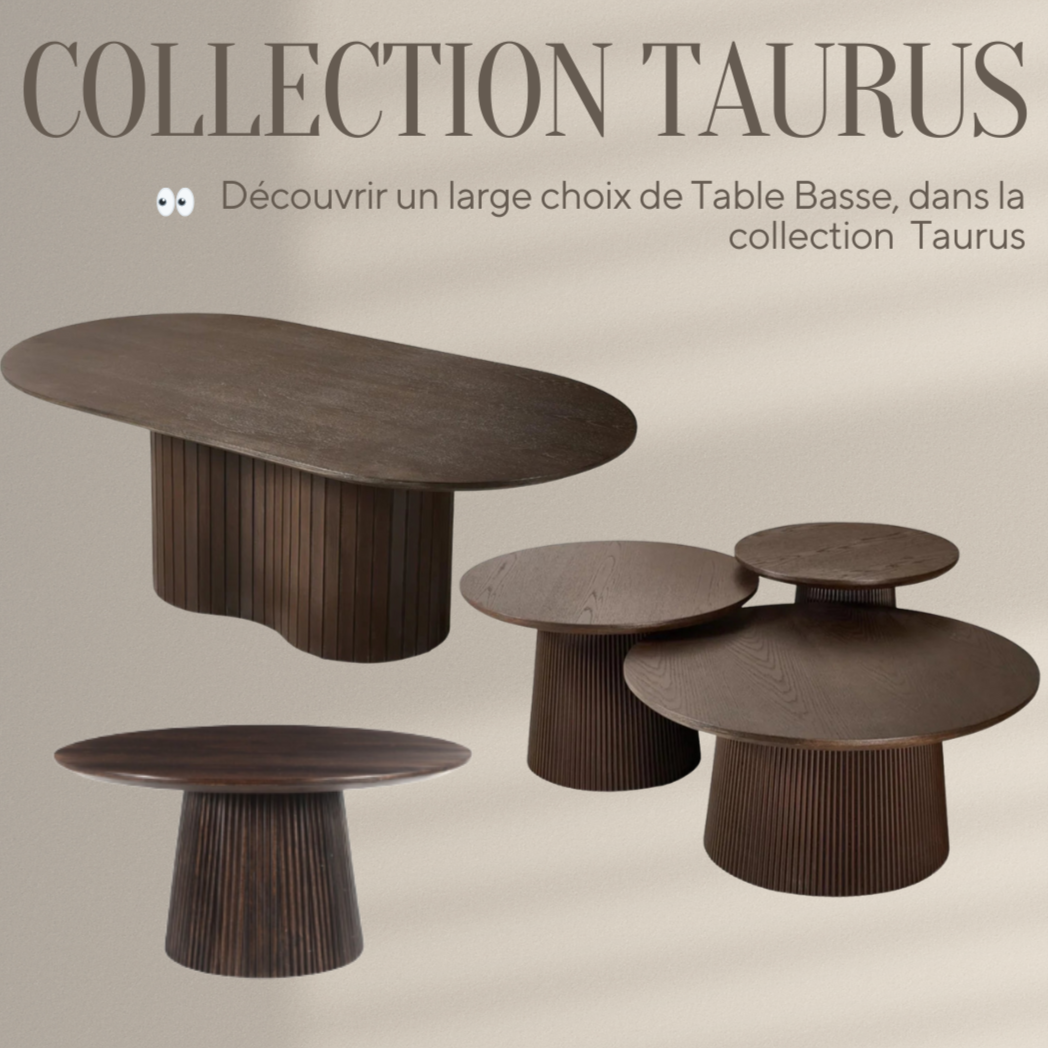 Table basse TAURUS