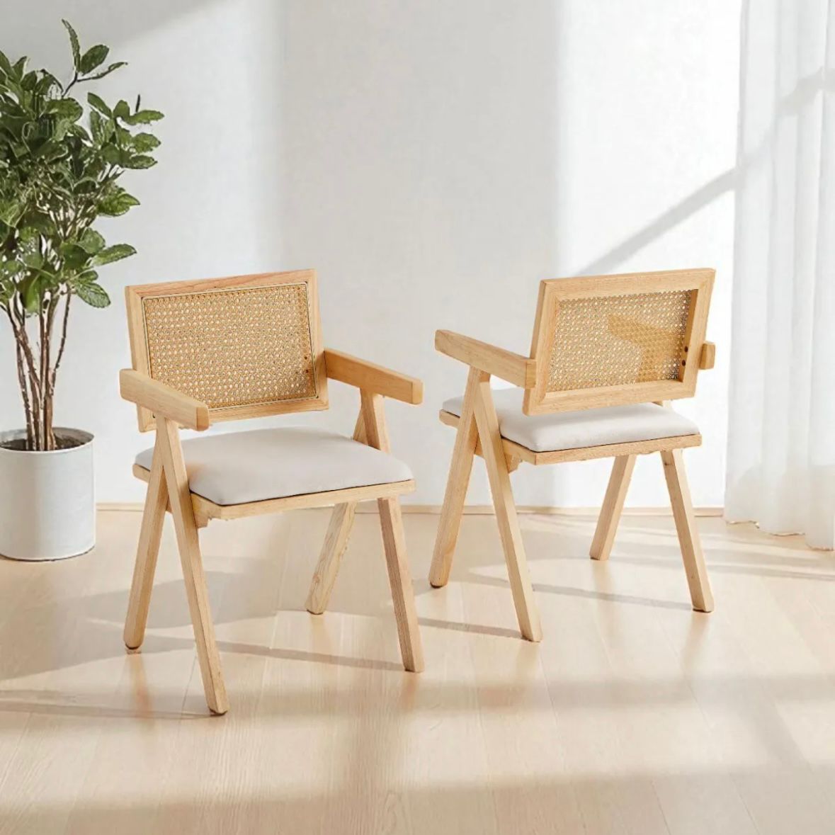 Chaises Rotina