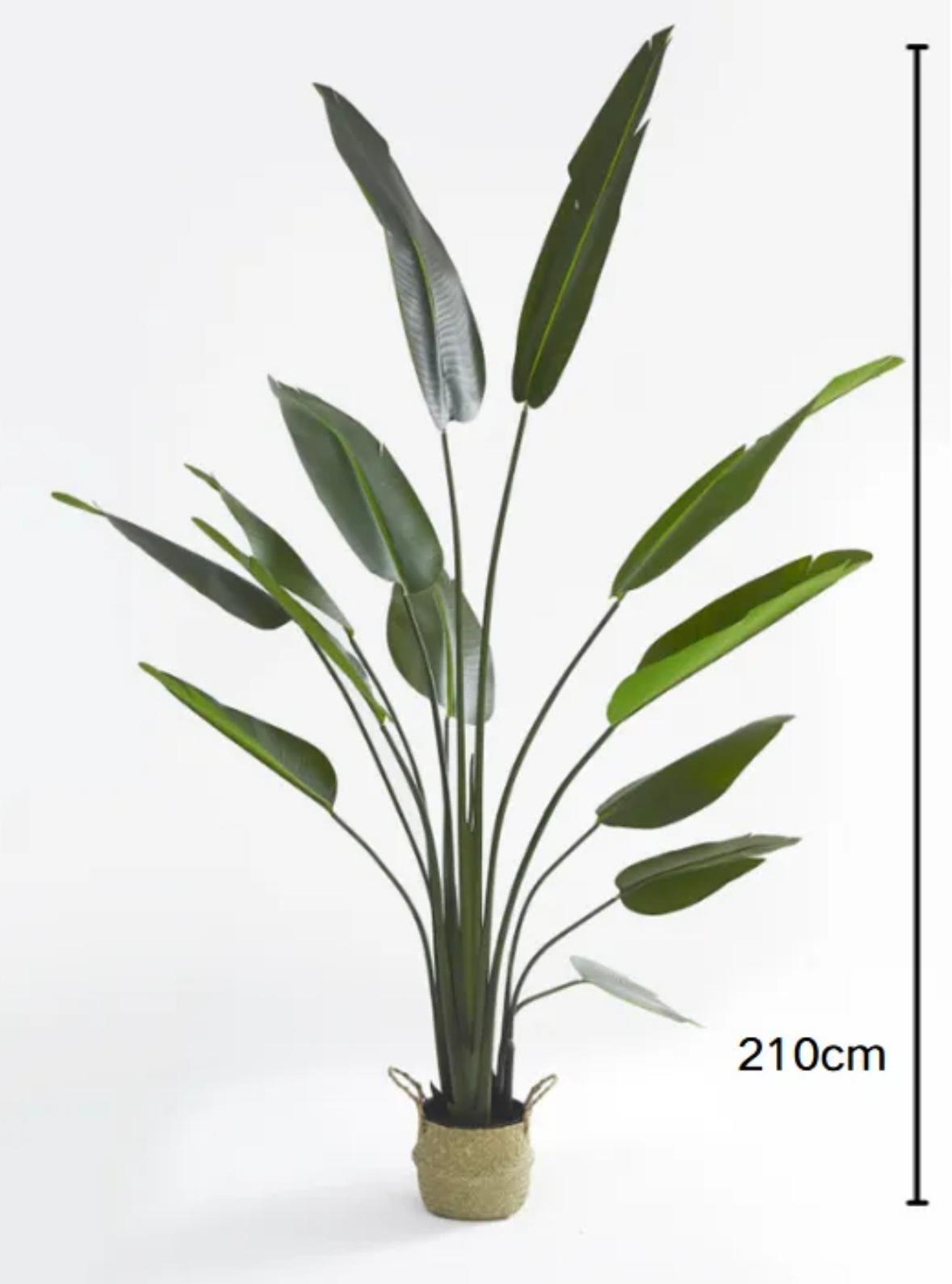Strelitzia artificielle