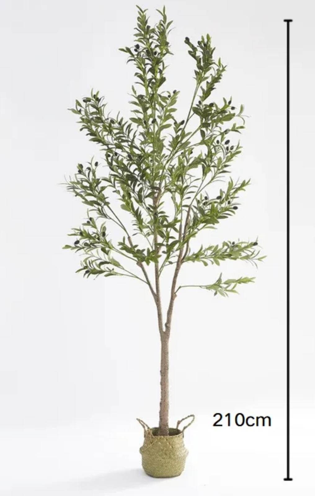 Olivier artificielle